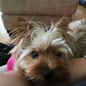 Meet your Posher, Leanne